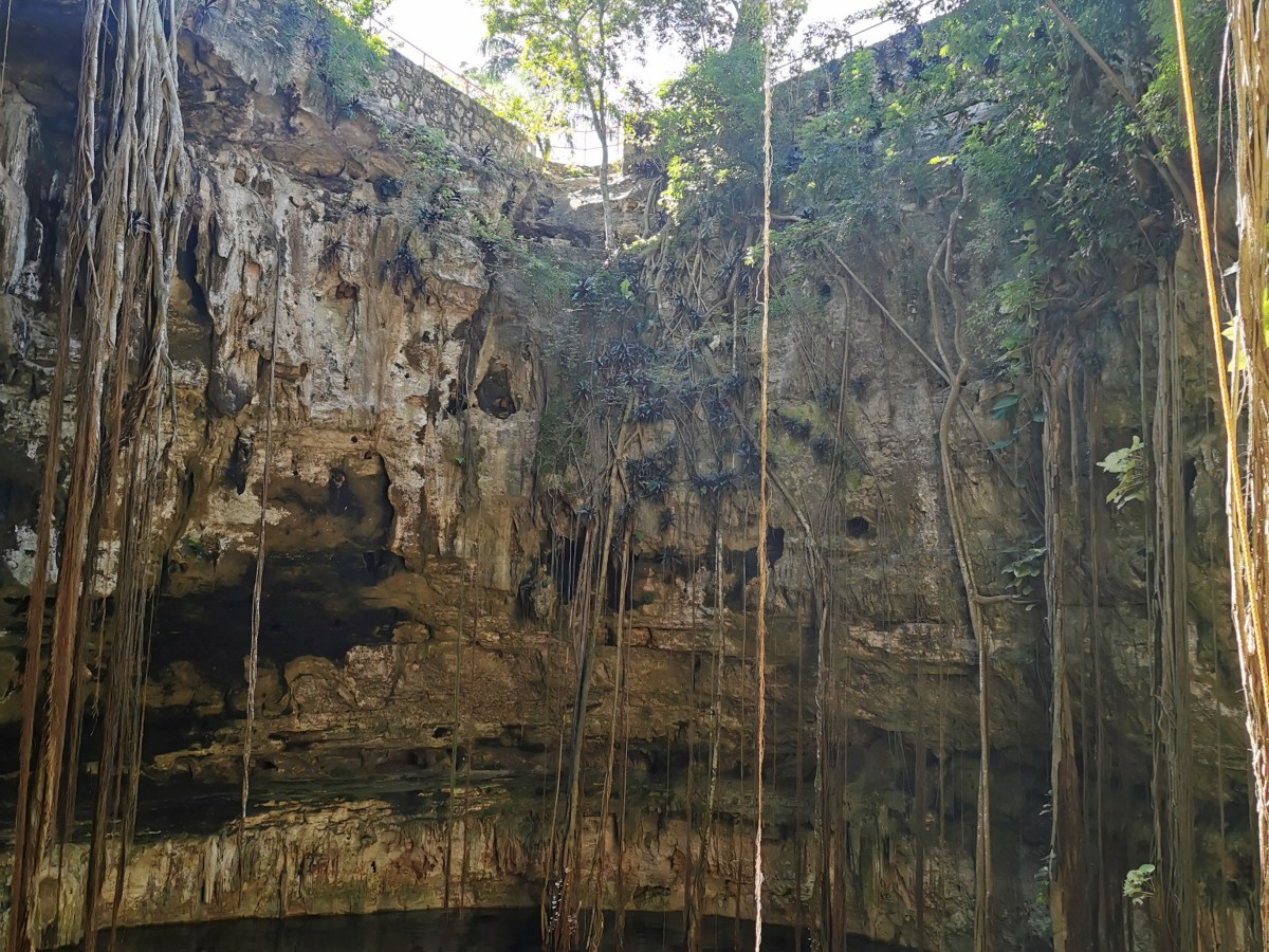 Cenoten – Tore zur&nbsp;Unterwelt