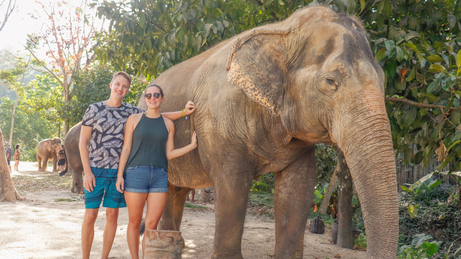 Schlammige Angelegenheit