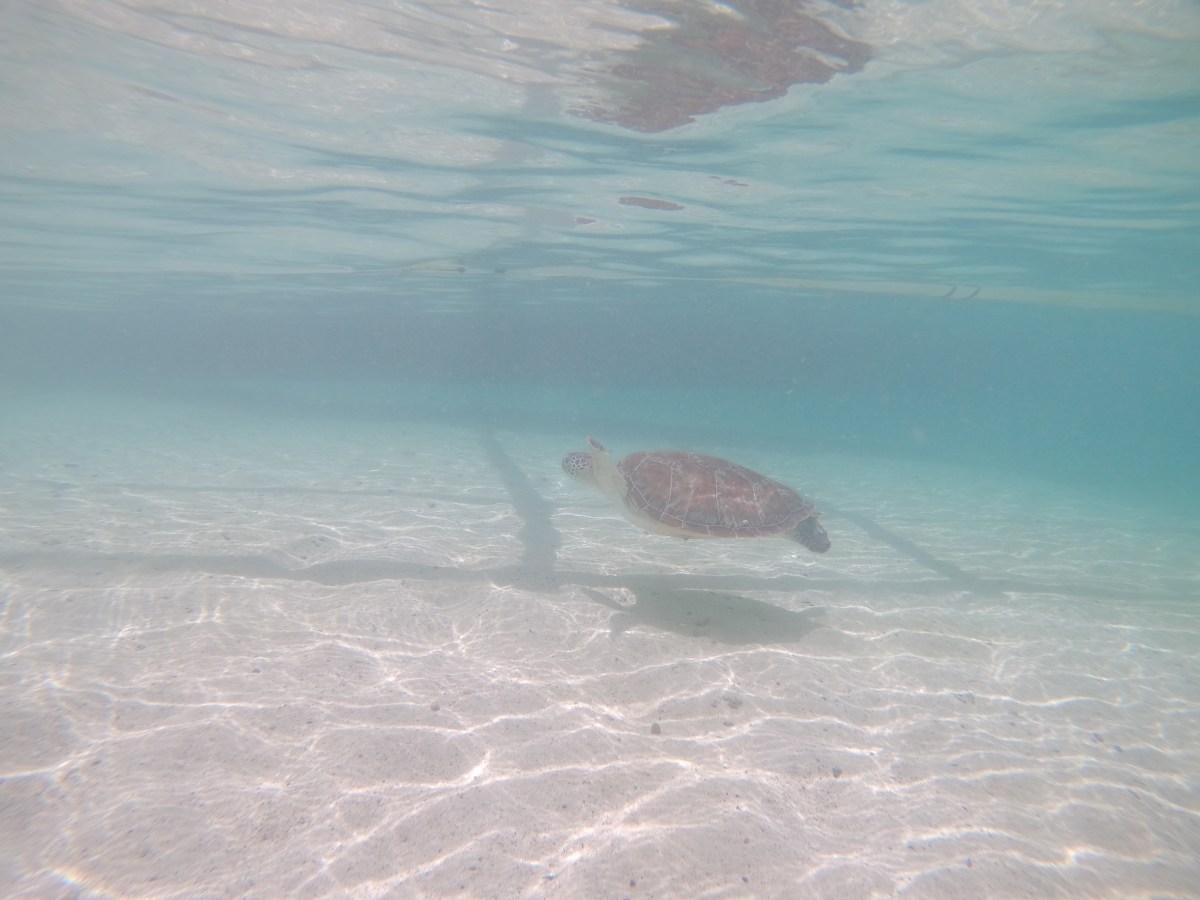 Philippinen – unsere ersten Tage auf einer der 1000&nbsp;Inseln